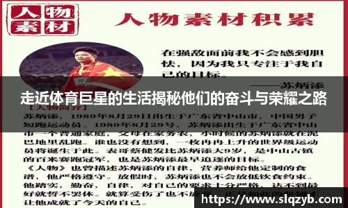 走近体育巨星的生活揭秘他们的奋斗与荣耀之路