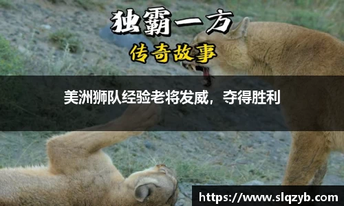 美洲狮队经验老将发威，夺得胜利