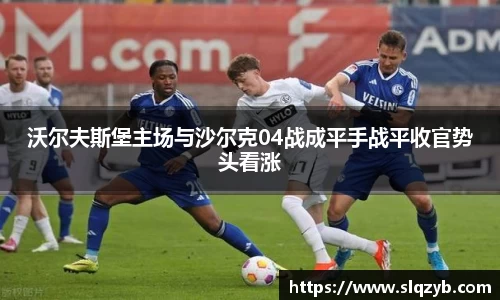 沃尔夫斯堡主场与沙尔克04战成平手战平收官势头看涨
