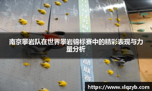 南京攀岩队在世界攀岩锦标赛中的精彩表现与力量分析