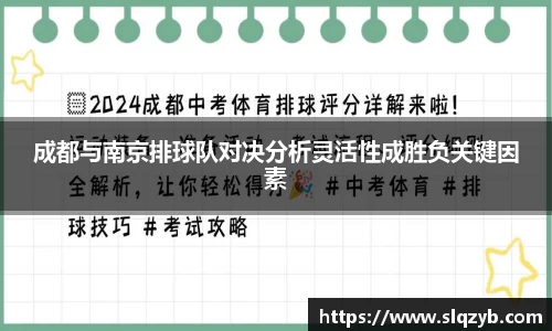 成都与南京排球队对决分析灵活性成胜负关键因素